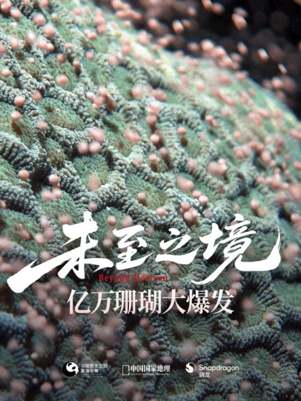 APP STORE 雪豹“母女辞别”，抹香鲸“群鲸护幼”，来“未至之境”大冒险！