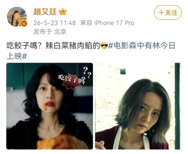 APP STORE 1.5亿本钱，《森中有林》票房扑街，陈砺志张一白亏到怀疑东说念主生