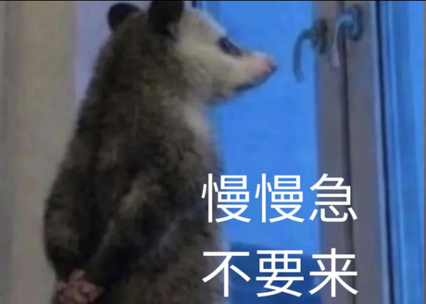AG·真人(官方)网址 光明谈：负鼠神采包，为啥火了？