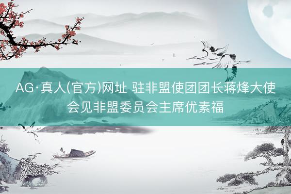 AG·真人(官方)网址 驻非盟使团团长蒋烽大使会见非盟委员会主席优素福