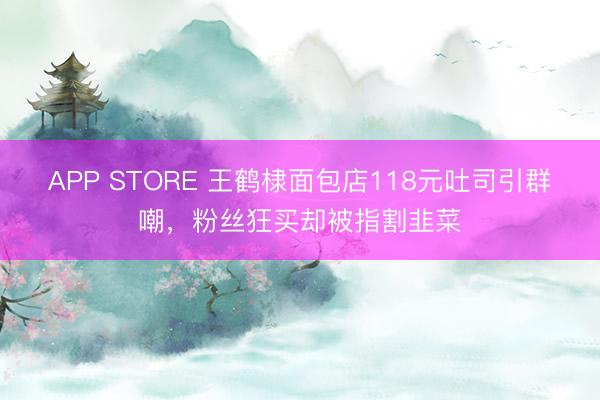 APP STORE 王鹤棣面包店118元吐司引群嘲，粉丝狂买却被指割韭菜