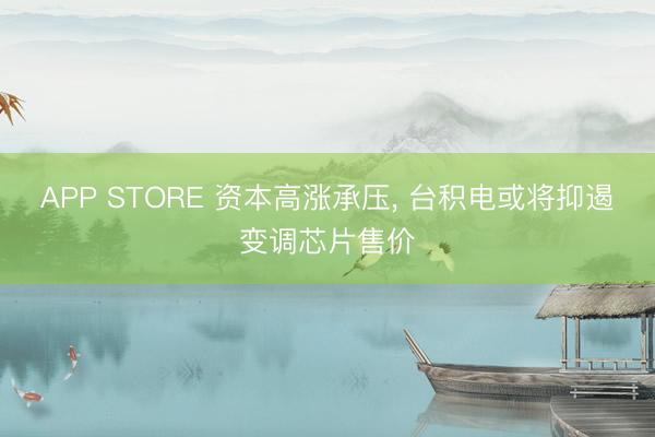 APP STORE 资本高涨承压， 台积电或将抑遏变调芯片售价