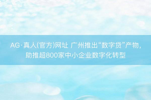 AG·真人(官方)网址 广州推出“数字贷”产物，助推超800家中小企业数字化转型