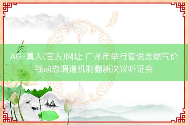 AG·真人(官方)网址 广州市举行管说念燃气价钱动态调遣机制翻新决议听证会