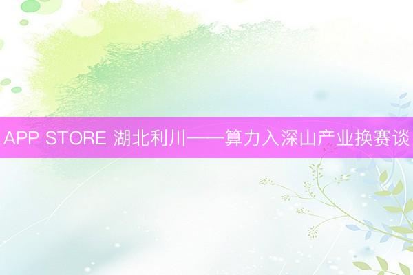 APP STORE 湖北利川——算力入深山产业换赛谈